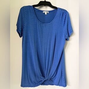 Nine Britton Blue and White Striped Short Sleeve Top